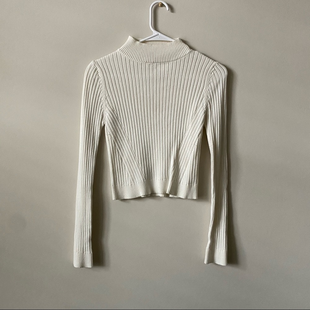 Lizard Thicket White Turtleneck - image 1